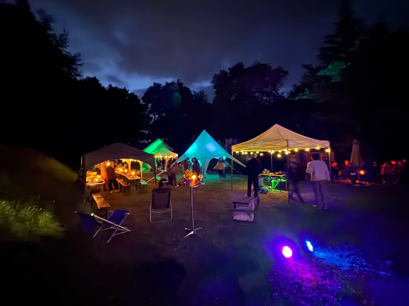 Sommerfest im Park bei Nacht